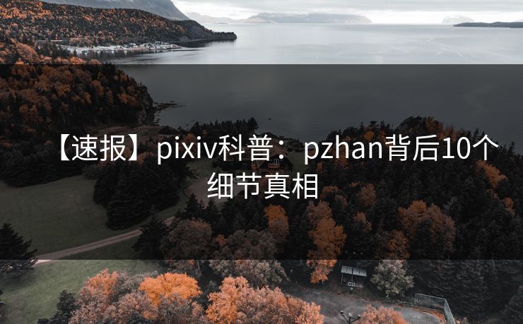 【速报】pixiv科普:pzhan背后10个细节真相 【速报】pixiv科普:pzhan背后10个细节真相