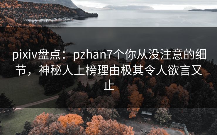 pixiv盘点：pzhan7个你从没注意的细节，神秘人上榜理由极其令人欲言又止